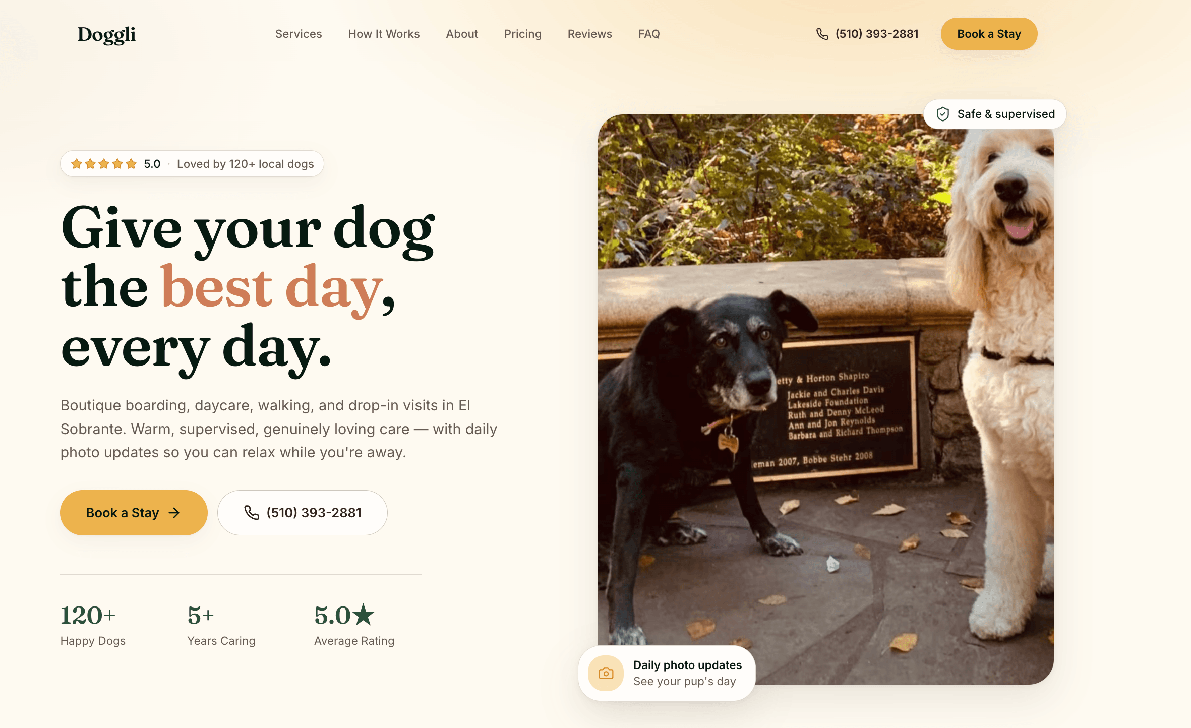Doggli preview
